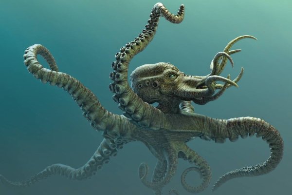 Kraken19.at