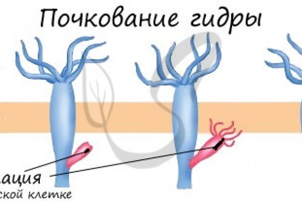 Кракен актуальная